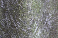 Barrowmore Estate fibreglass roof work